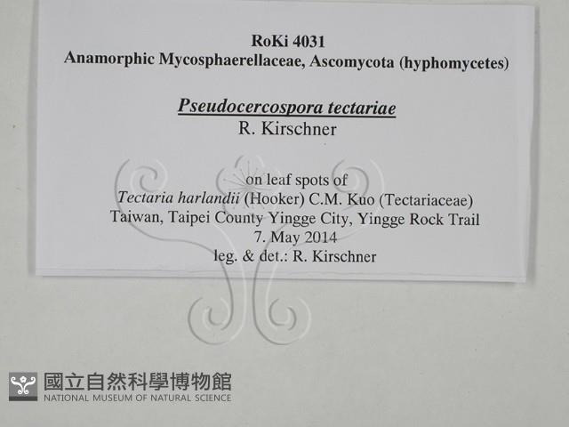 登錄號:F0028802藏品圖，第3張