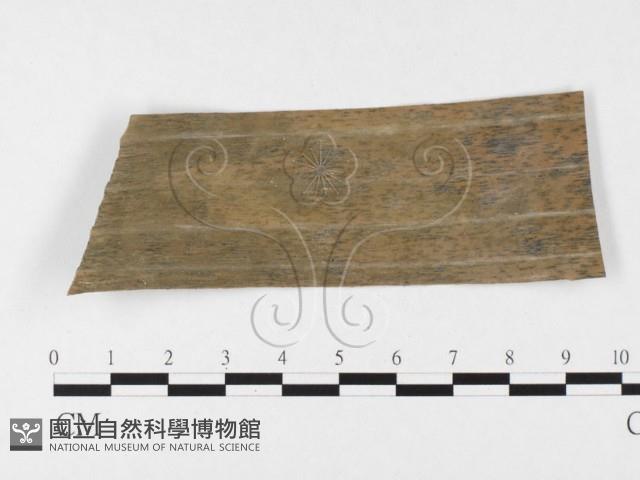 登錄號:F0026802藏品圖，第1張