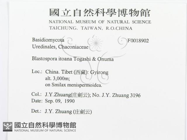 登錄號:F0018902藏品圖，第3張