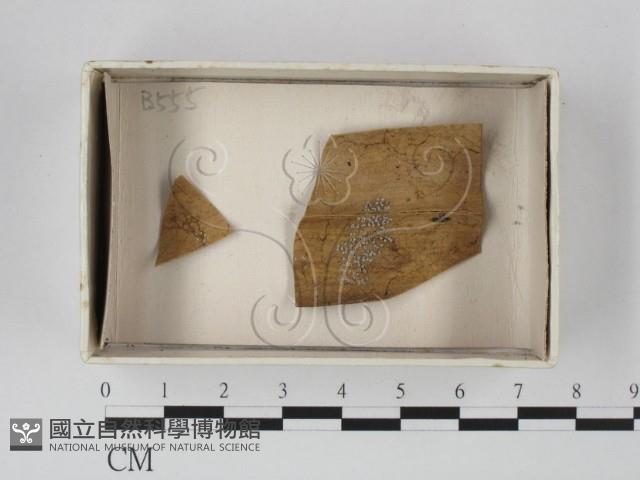 登錄號:F0020602藏品圖，第1張