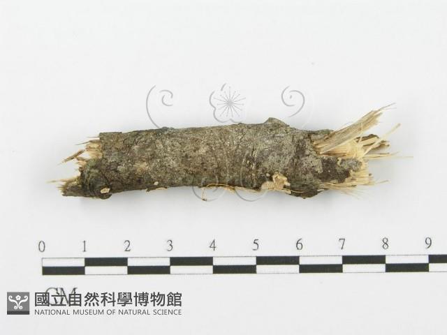 登錄號:F0001602藏品圖，第1張