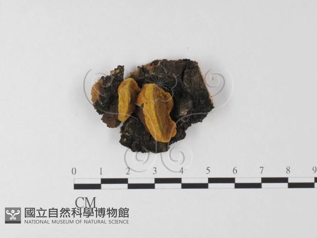 登錄號:F0025602藏品圖，第1張