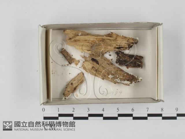 登錄號:F0018402藏品圖，第1張