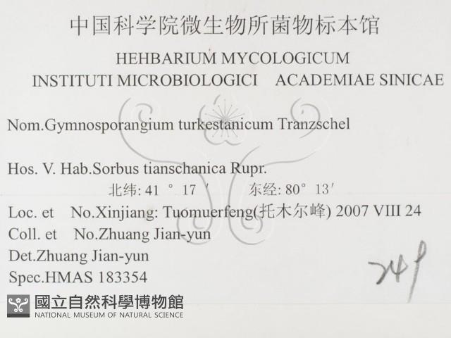 登錄號:F0026402藏品圖，第3張