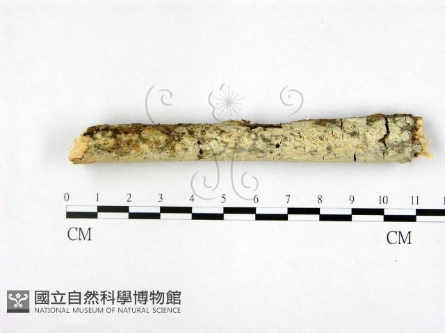 登錄號:F0022402藏品圖，第1張