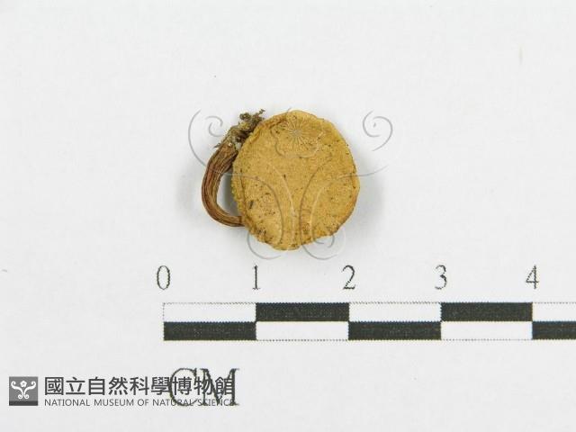 登錄號:F0012402藏品圖，第1張