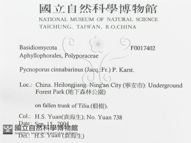 登錄號:F0017402藏品圖，第3張