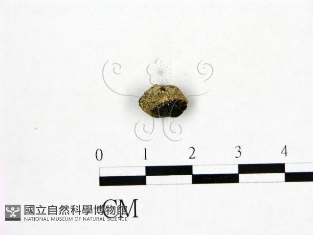 登錄號:F0000702藏品圖，第1張