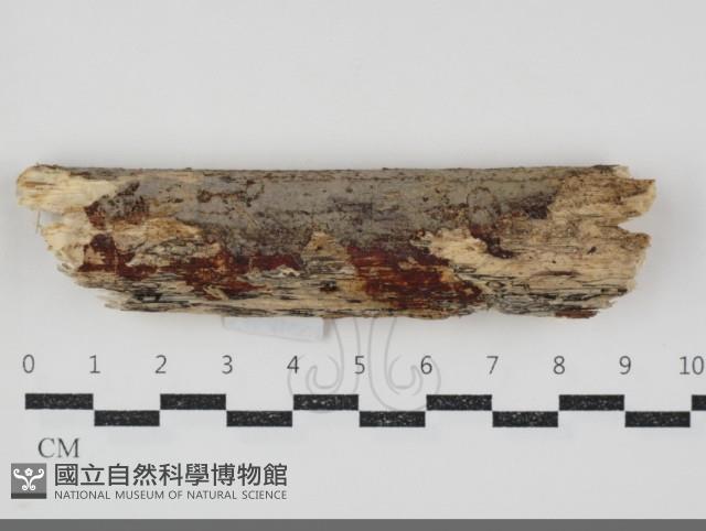 登錄號:F0034702藏品圖，第1張