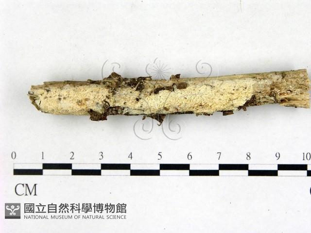 登錄號:F0022702藏品圖，第1張