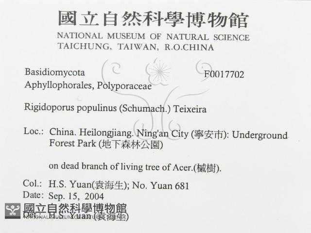 登錄號:F0017702藏品圖，第3張