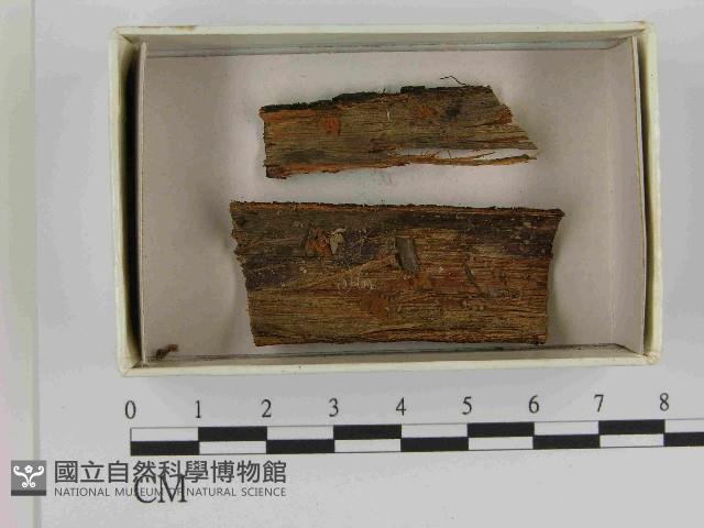 登錄號:F0021502藏品圖，第1張