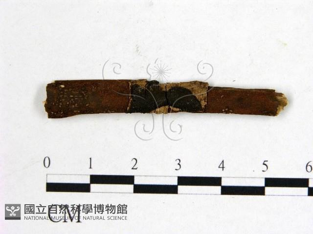 登錄號:F0011502藏品圖，第1張