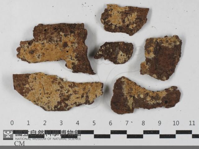 登錄號:F0033502藏品圖，第1張