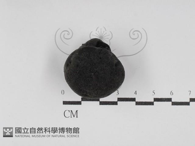 登錄號:F0030102藏品圖，第1張