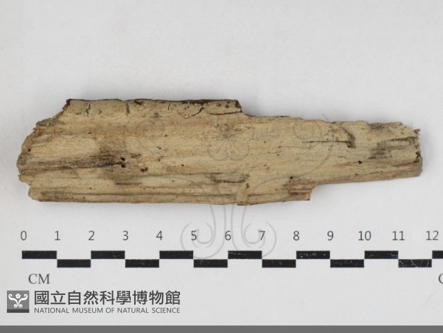 登錄號:F0034102藏品圖，第1張