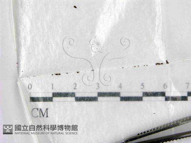 登錄號:F0002102藏品圖，第1張