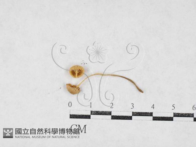 登錄號:F0027102藏品圖，第1張