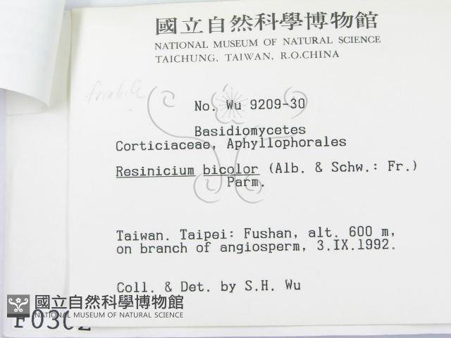 登錄號:F0000302藏品圖，第3張