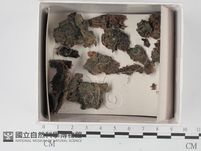 登錄號:F0018212藏品圖，第1張