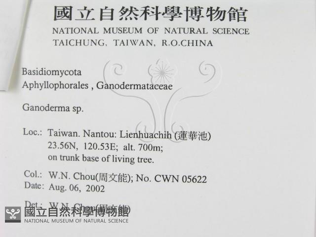 登錄號:F0016212藏品圖，第3張