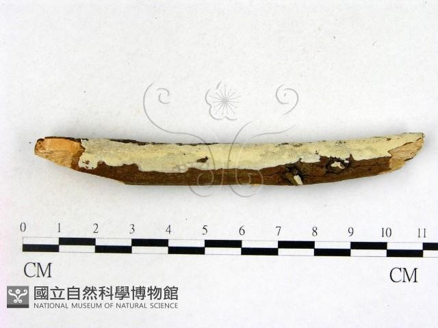 登錄號:F0022212藏品圖，第1張