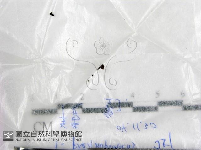 登錄號:F0017212藏品圖，第1張