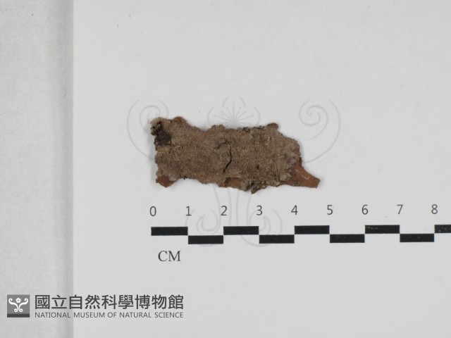登錄號:F0033212藏品圖，第1張