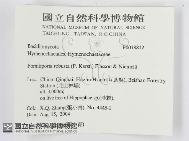 登錄號:F0018812藏品圖，第3張