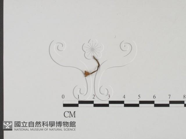 登錄號:F0001912藏品圖，第1張