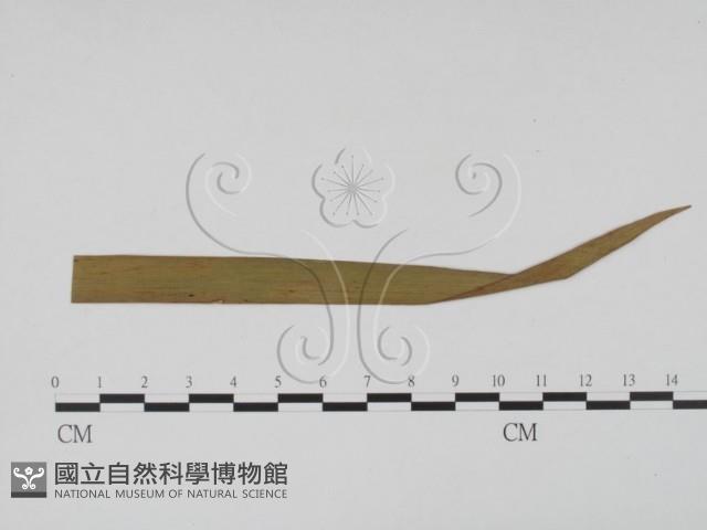 登錄號:F0011912藏品圖，第1張