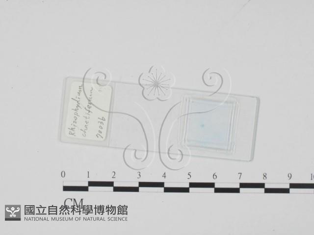 登錄號:F0017912藏品圖，第1張