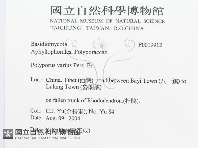 登錄號:F0019912藏品圖，第3張