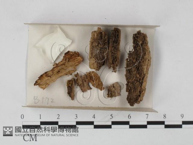 登錄號:F0018612藏品圖，第1張