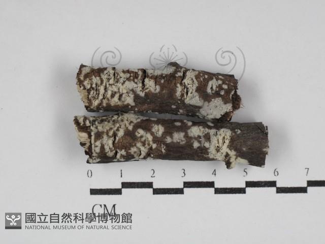 登錄號:F0030612藏品圖，第1張