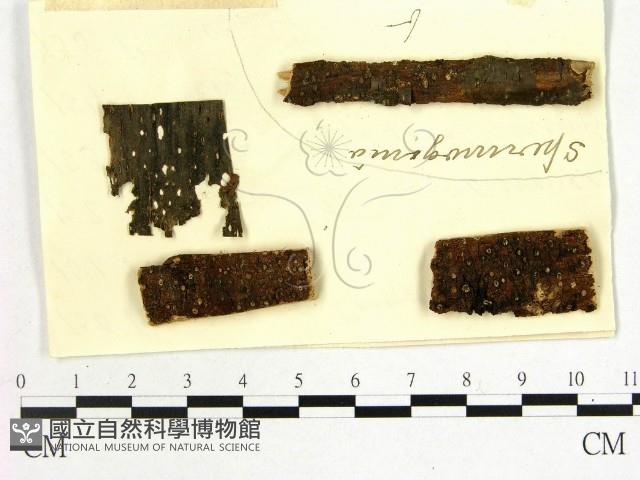 登錄號:F0011612藏品圖，第1張