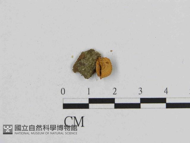 Accession Number:F0014612 Collection Image, Figure 1, Total 3 Figures