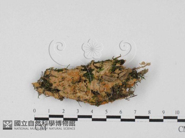 登錄號:F0027612藏品圖，第1張