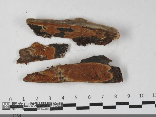 登錄號:F0033612藏品圖，第1張