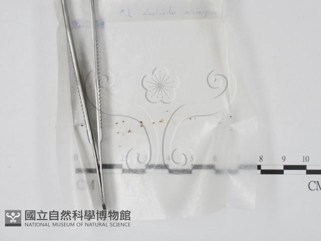 登錄號:F0001412藏品圖，第1張