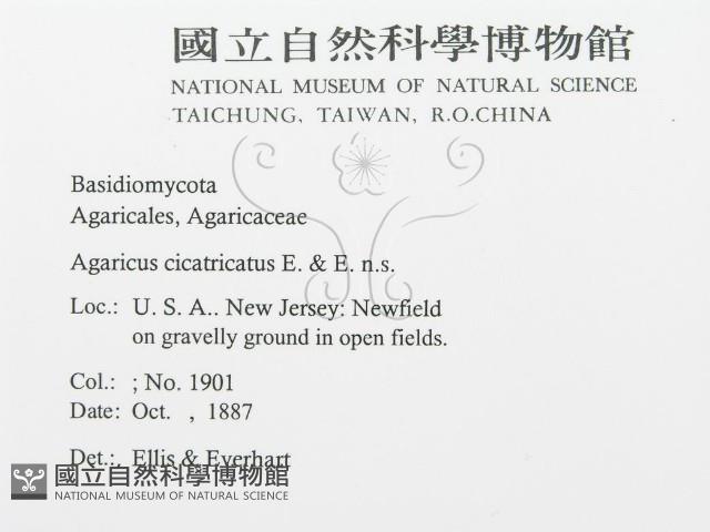 登錄號:F0011412藏品圖，第3張