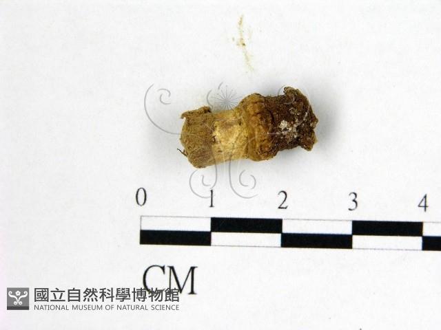 登錄號:F0022412藏品圖，第1張