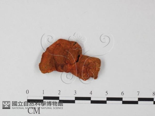 登錄號:F0013412藏品圖，第1張