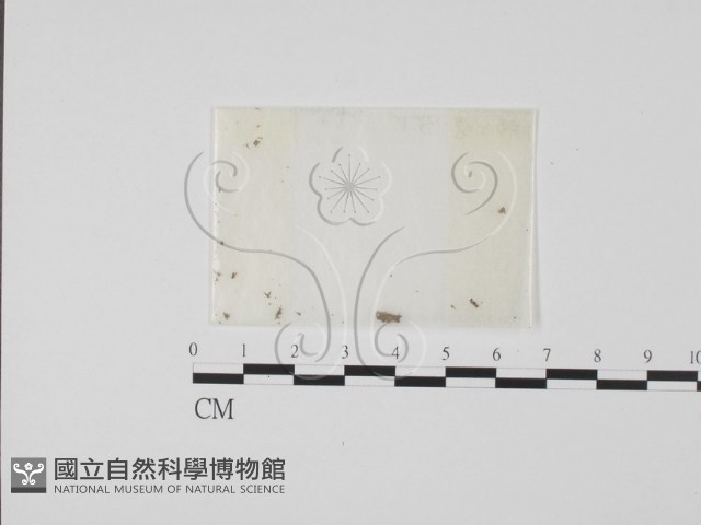 登錄號:F0000712藏品圖，第1張