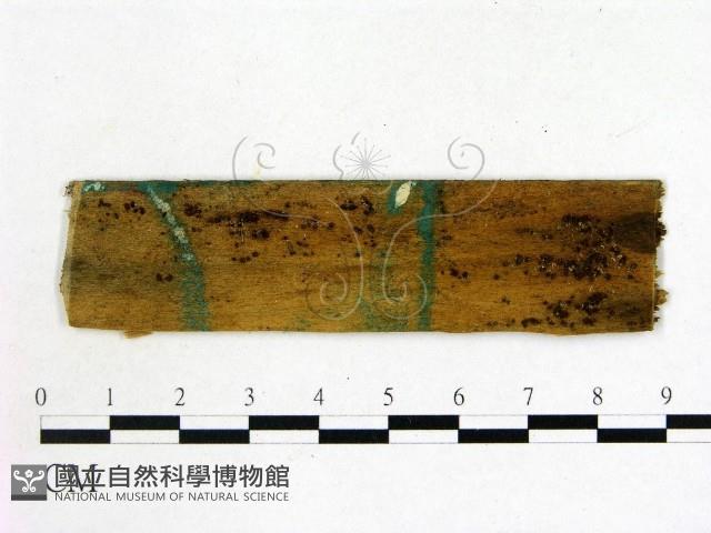 登錄號:F0011712藏品圖，第1張