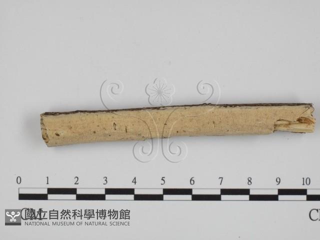 登錄號:F0024712藏品圖，第1張