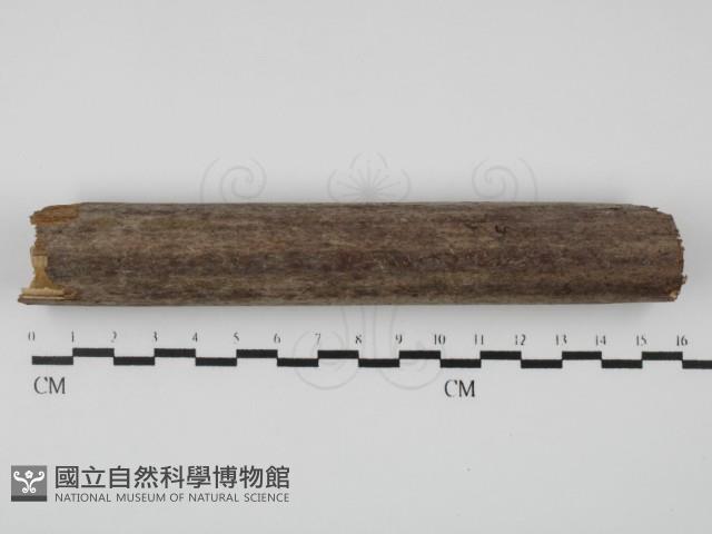 登錄號:F0004712藏品圖，第1張