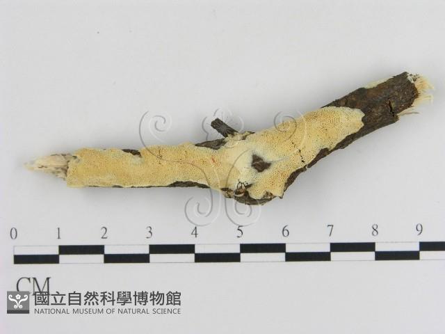 登錄號:F0020512藏品圖，第1張