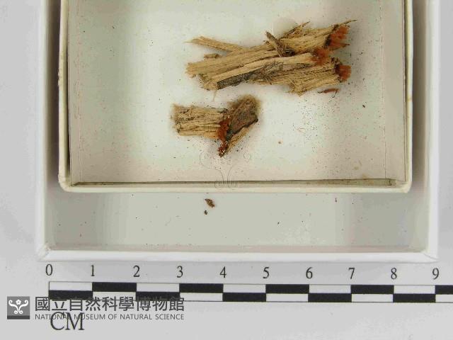 登錄號:F0021512藏品圖，第1張