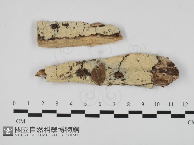 登錄號:F0032512藏品圖，第1張